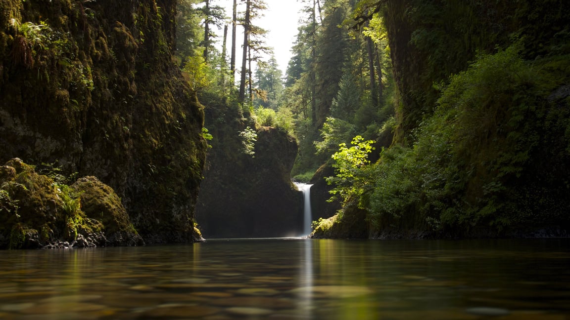 River in Nature