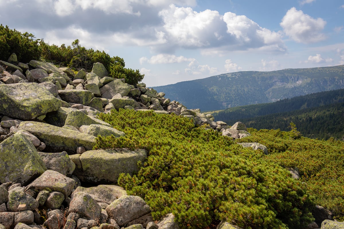 Karkonosze Góry Natura