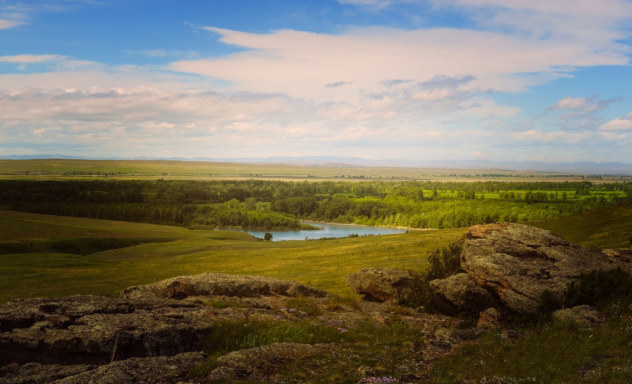 Landscape in Nature